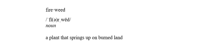 Fireweed, noun. A plant that springs up on burned land.