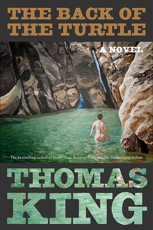 The cover of The Back of the Turtle shows a nude person facing away from the viewer. The person is wading in a pool of water surrounded by high natural stone.